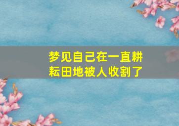 梦见自己在一直耕耘田地被人收割了