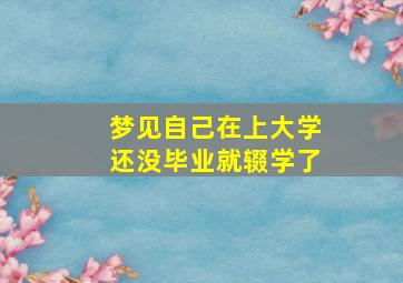 梦见自己在上大学还没毕业就辍学了