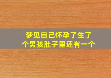 梦见自己怀孕了生了个男孩肚子里还有一个