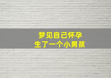 梦见自己怀孕生了一个小男孩