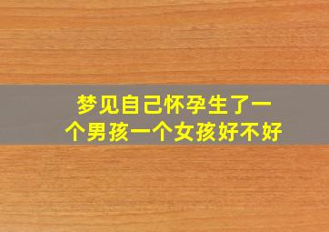 梦见自己怀孕生了一个男孩一个女孩好不好