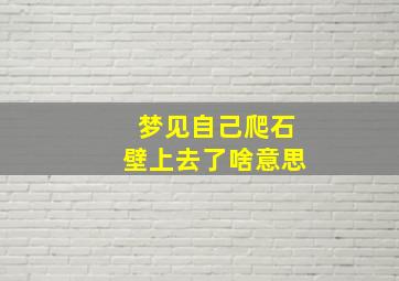 梦见自己爬石壁上去了啥意思