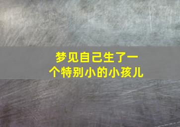 梦见自己生了一个特别小的小孩儿