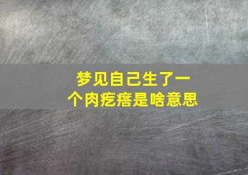 梦见自己生了一个肉疙瘩是啥意思