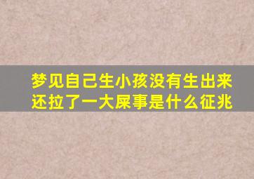 梦见自己生小孩没有生出来还拉了一大屎事是什么征兆