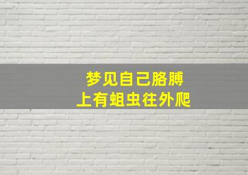 梦见自己胳膊上有蛆虫往外爬