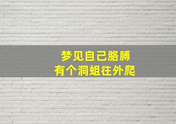 梦见自己胳膊有个洞蛆往外爬