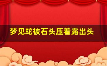 梦见蛇被石头压着露出头