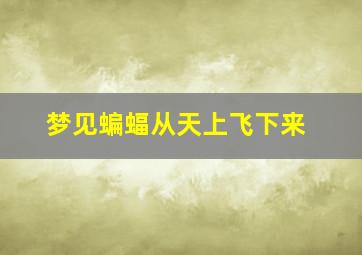 梦见蝙蝠从天上飞下来