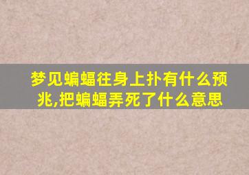 梦见蝙蝠往身上扑有什么预兆,把蝙蝠弄死了什么意思