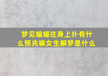 梦见蝙蝠往身上扑有什么预兆嘛女生解梦是什么