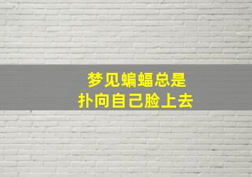 梦见蝙蝠总是扑向自己脸上去