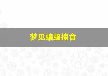 梦见蝙蝠捕食