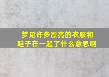 梦见许多漂亮的衣服和鞋子在一起了什么意思啊