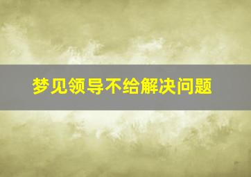 梦见领导不给解决问题