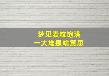 梦见麦粒饱满一大堆是啥意思