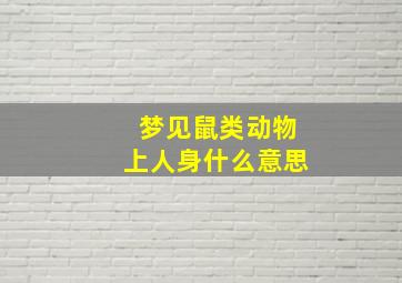 梦见鼠类动物上人身什么意思