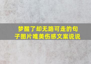 梦醒了却无路可走的句子图片唯美伤感文案说说