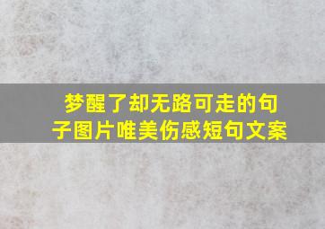 梦醒了却无路可走的句子图片唯美伤感短句文案