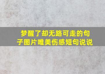 梦醒了却无路可走的句子图片唯美伤感短句说说