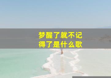 梦醒了就不记得了是什么歌