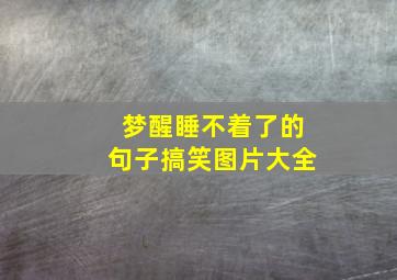 梦醒睡不着了的句子搞笑图片大全