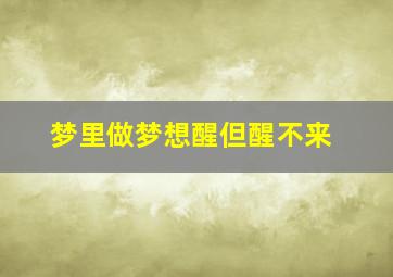 梦里做梦想醒但醒不来