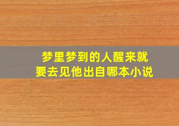 梦里梦到的人醒来就要去见他出自哪本小说