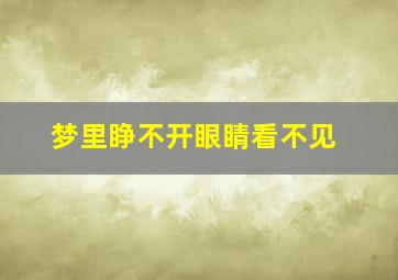 梦里睁不开眼睛看不见