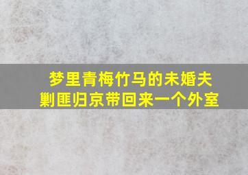 梦里青梅竹马的未婚夫剿匪归京带回来一个外室