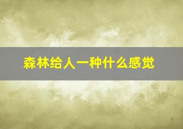 森林给人一种什么感觉