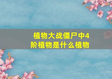 植物大战僵尸中4阶植物是什么植物