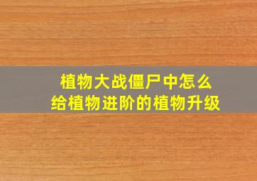 植物大战僵尸中怎么给植物进阶的植物升级