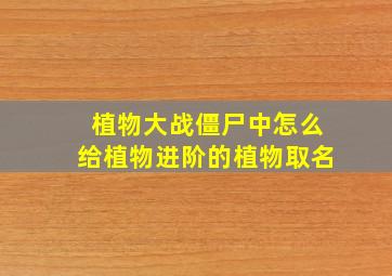 植物大战僵尸中怎么给植物进阶的植物取名