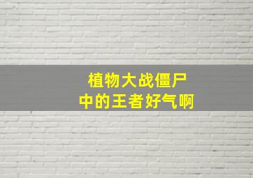 植物大战僵尸中的王者好气啊