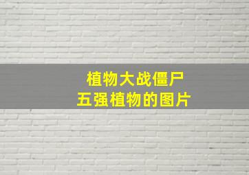 植物大战僵尸五强植物的图片