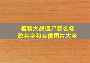 植物大战僵尸怎么修改名字和头像图片大全