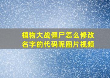 植物大战僵尸怎么修改名字的代码呢图片视频