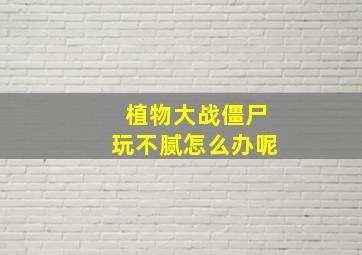 植物大战僵尸玩不腻怎么办呢