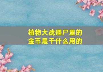 植物大战僵尸里的金币是干什么用的