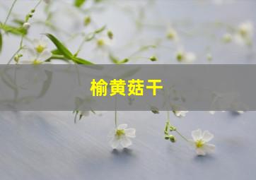 榆黄菇干