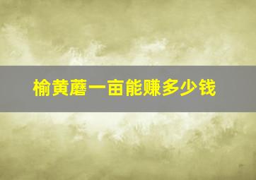 榆黄蘑一亩能赚多少钱