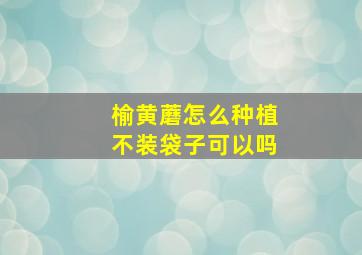 榆黄蘑怎么种植不装袋子可以吗