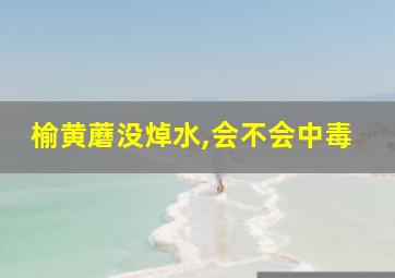 榆黄蘑没焯水,会不会中毒