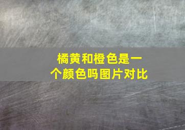 橘黄和橙色是一个颜色吗图片对比