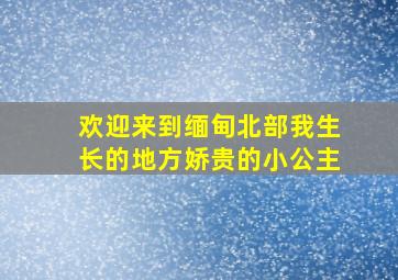 欢迎来到缅甸北部我生长的地方娇贵的小公主