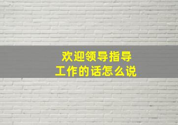 欢迎领导指导工作的话怎么说