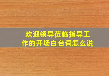 欢迎领导莅临指导工作的开场白台词怎么说