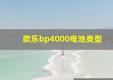 欧乐bp4000电池类型