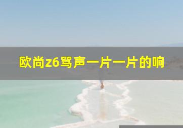 欧尚z6骂声一片一片的响